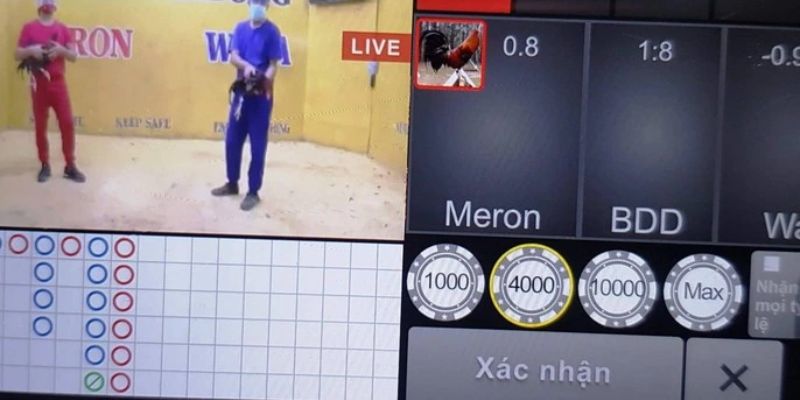 Đá gà GA28 tại King88 – thưởng 88K cho tân thủ, hoàn trả 1% mỗi ngày 1 Đá gà GA28 King88 chân thực với camera đa góc và đường truyền Full HD
