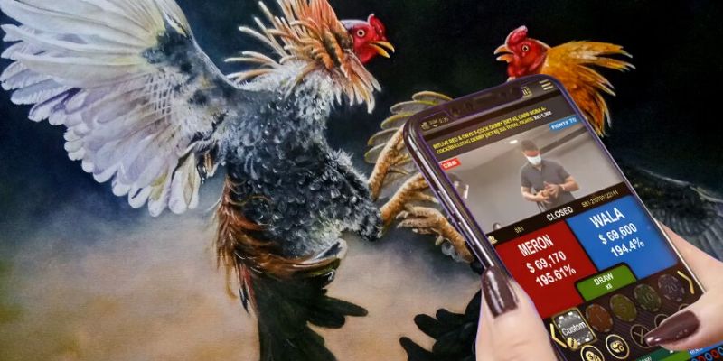 Đá gà Sabong tại King88 – nhận 88K cho tân thủ, hoàn trả 1% mỗi ngày 2 Sabong King88 nổi bật với tốc độ ổn định, ưu đãi lớn và dữ liệu chiến kê rõ ràng